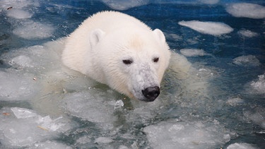 Klima und Klimawandel | Bild: picture-alliance