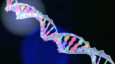 DNA-Doppelhelix | Bild: BR