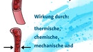 Infografik Kneipp-Trainingsprogramm | Bild: BR/Eva Manten