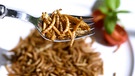 Die konverntionelle Landwirtschaft schadet dem Klima. Insekten könnten als Proteinquelle eine alternative zur aufwendigen Rindfleischproduktion werden.  | Bild: dpa-Bildfunk