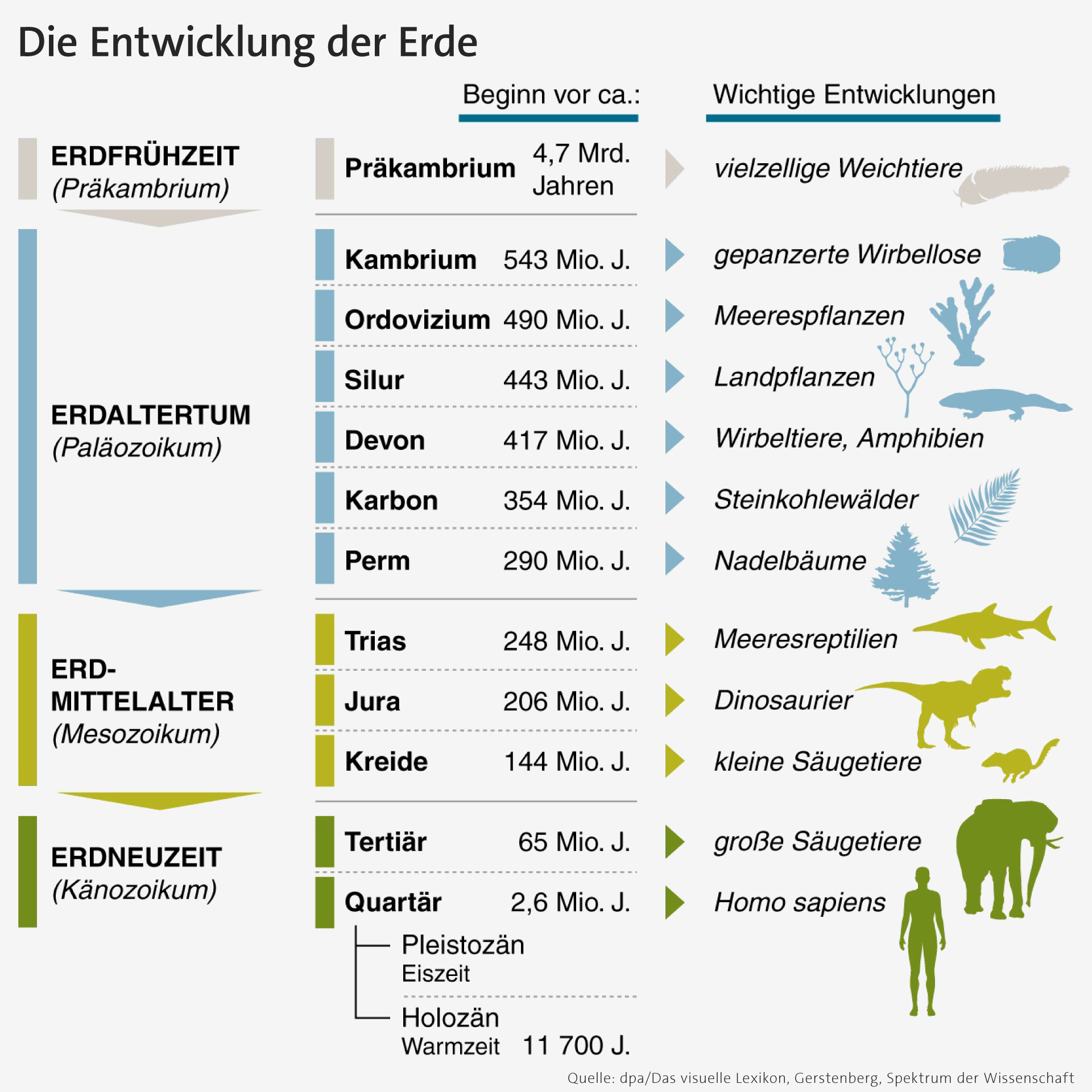 Infografik: Erdzeitalter und jeweils wichtigste biologische Entwicklungen | Bild: picture-alliance/dpa Infografik: Erdzeitalter und jeweils wichtigste biologische Entwicklungen | Bild: picture-alliance/dpa