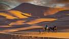 Sanddünen in der Sahara. Die Sahara ist eine Wendekreiswüste. Heute besteht sie aus viel Sand und Stein. Doch vor einigen tausend Jahren gab es in dieser Wüste jede Menge Wasser und Grün. Hier erfahrt ihr mehr über die Geschichte der Sahara. | Bild: picture alliance/Zoonar | Walter G Arce Sr Grindstone Media Group/ASP Inc