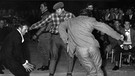 Jugendliche bei Bill Haley-Konzert - 1958 | Bild: picture-alliance/dpa